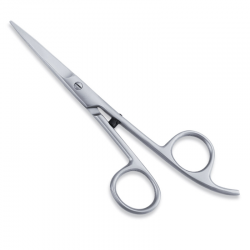 Economy Hair Scissors