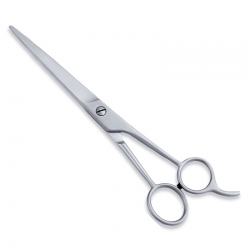Economy Hair Scissors