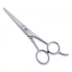 Economy Hair Scissors