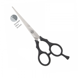 Economy Hair Scissors