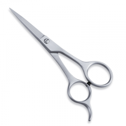 Economy Hair Scissors