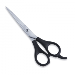 Economy Hair Scissors