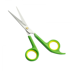 Economy Hair Scissors