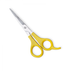 Economy Hair Scissors