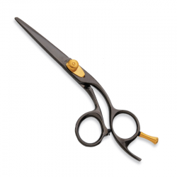 Titanium Coated Hair Scissors