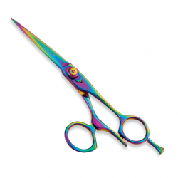Titanium Coated Hair Scissors